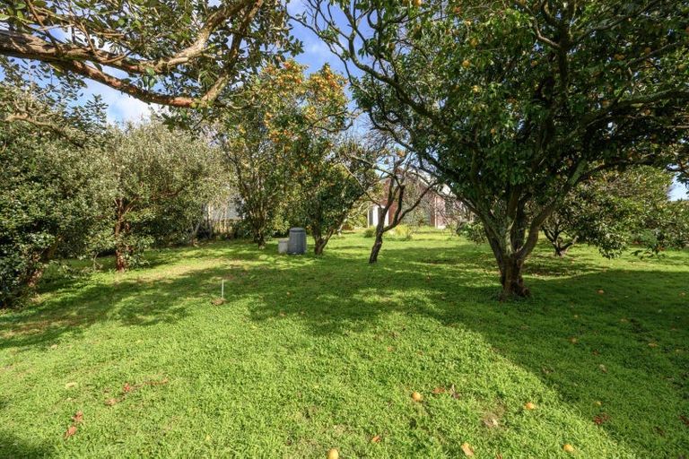 Photo of property in 55 Smiths Road, Matua, Tauranga, 3110