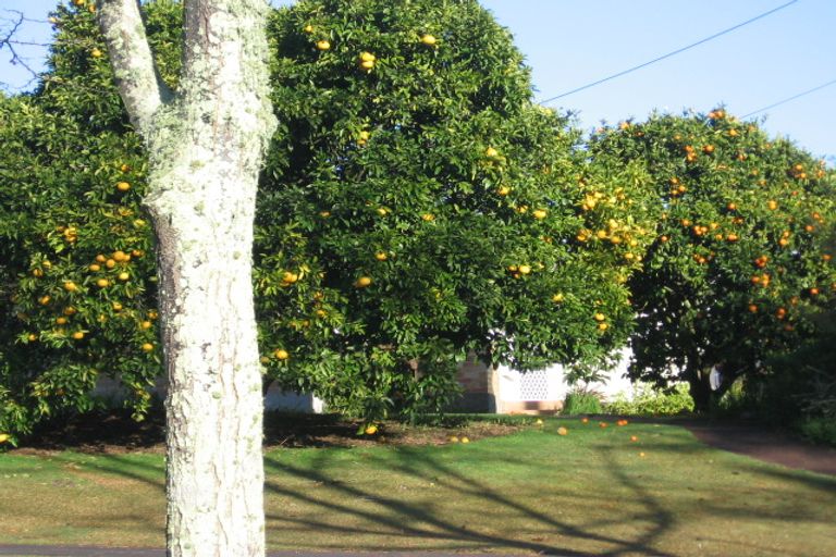 Photo of property in 9 Macfarlane Street, Hamilton East, Hamilton, 3216