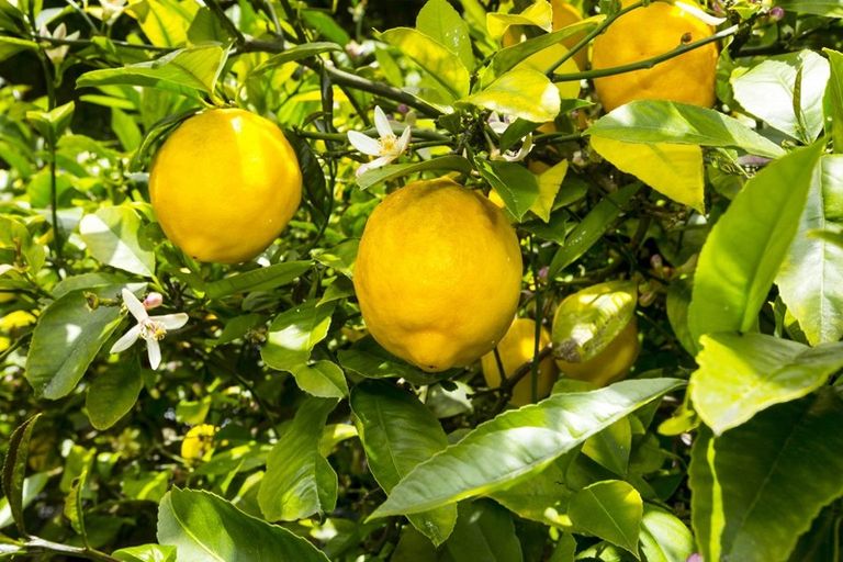 Photo of property in 1176 Fergusson Drive, Clouston Park, Upper Hutt, 5018