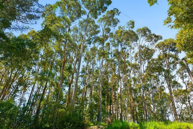 Photo of property in 340d Ngarara Road, Waikanae, 5391