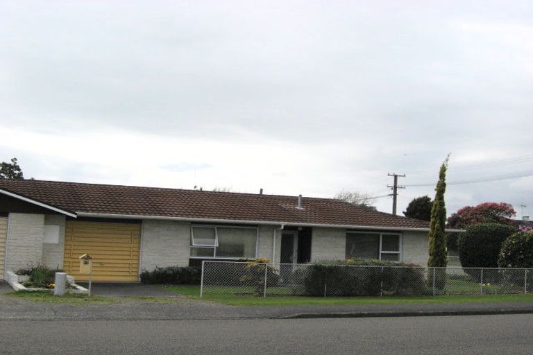 Photo of property in 17 Montgomery Street, Levin, 5510