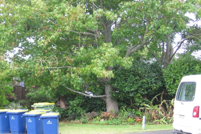 Photo of property in 27 Ti Nana Crescent, Henderson, Auckland, 0610