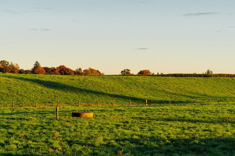 Photo of property in 337 Peacockes Road, Peacocke, Hamilton, 3282