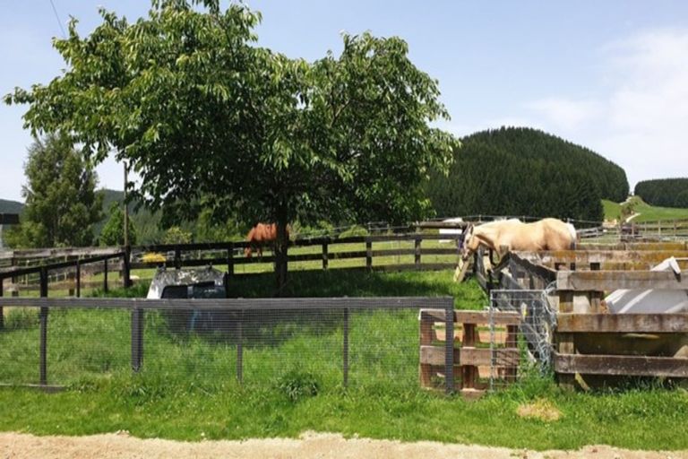 Photo of property in 22 Valley View Lane, Oruanui, Taupo, 3384