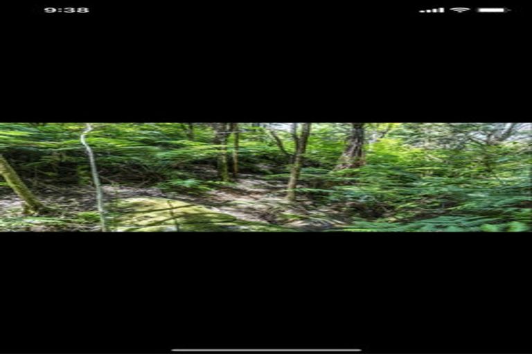 Photo of property in 70 Upper Whangateau Road, Big Omaha, 0985