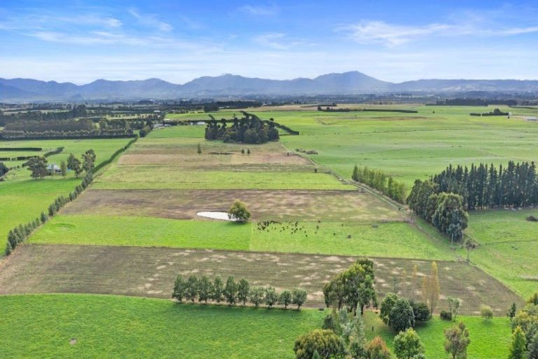 Photo of property in 920 Oxford Road, Fernside, Rangiora, 7471