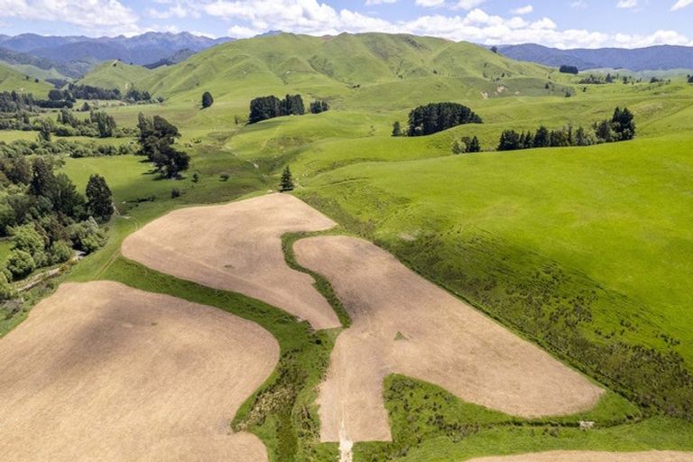 Photo of property in 268 Mikimiki Road, Mikimiki, Masterton, 5881