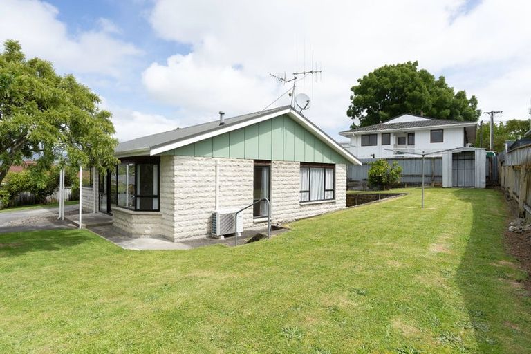 Photo of property in 125 Winchester Street, Levin, 5510