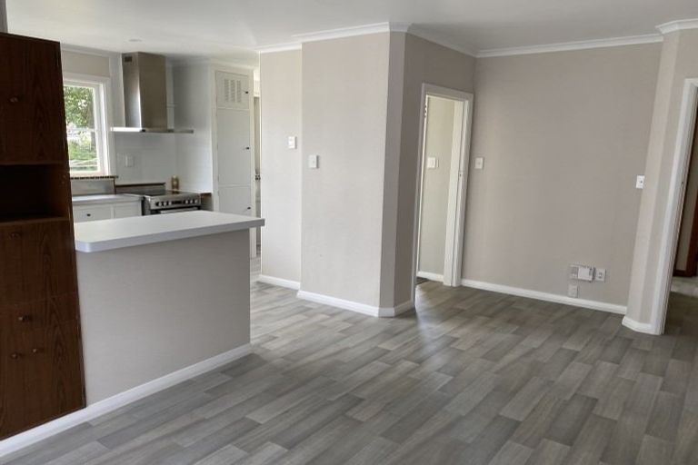 Photo of property in 54 Guy Avenue, Takaro, Palmerston North, 4410