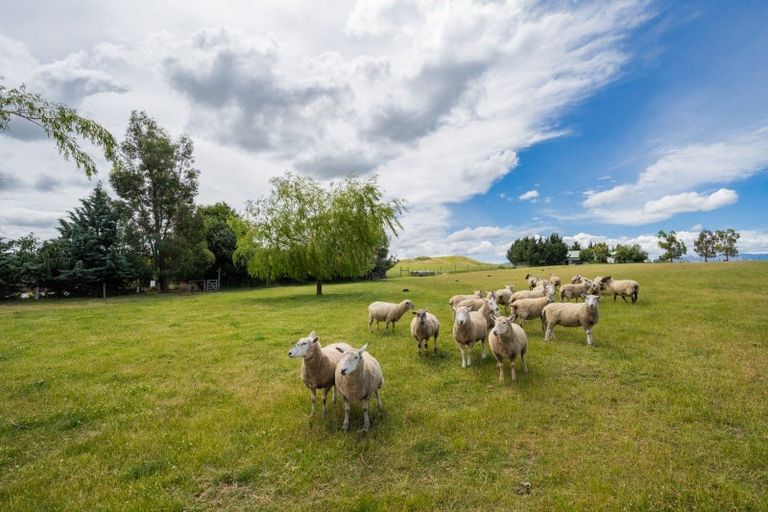 Photo of property in 1981 Omakau Chatto Ck Road, Chatto Creek, Alexandra, 9393