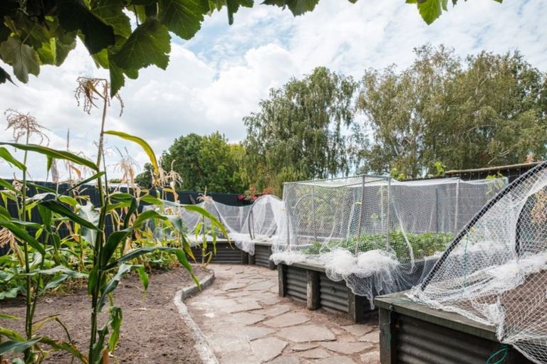 Photo of property in 27 Abbott Street, Te Hapara, Gisborne, 4010