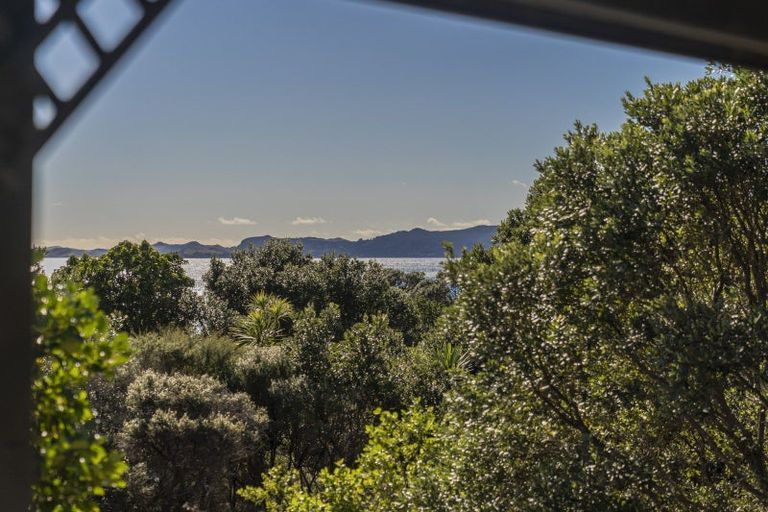 Photo of property in 36 Otama Beach Road, Opito Bay, Whitianga, 3592