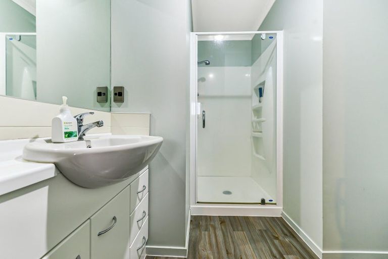 Photo of property in 56e Willoughby Street, Whitiora, Hamilton, 3200