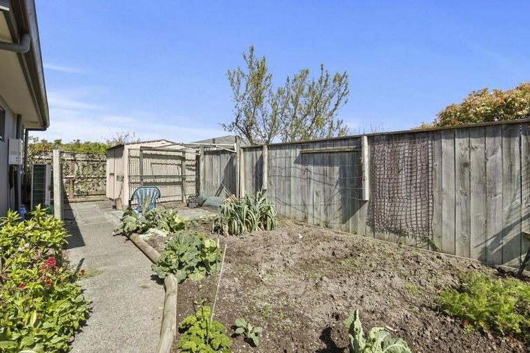 Photo of property in 11 Pelorus Place, Redwoodtown, Blenheim, 7201