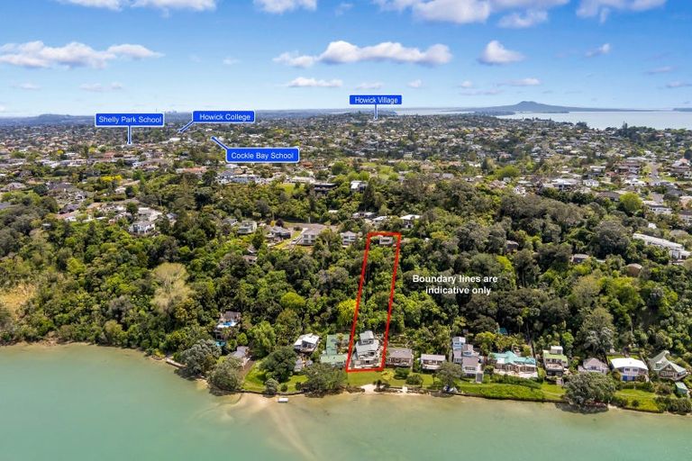 Photo of property in 47 Pohutukawa Avenue, Shelly Park, Auckland, 2014