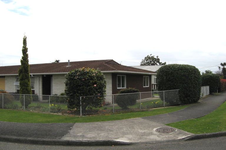 Photo of property in 17 Montgomery Street, Levin, 5510