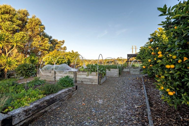 Photo of property in 665d State Highway 2 West, Pikowai, Whakatane, 3194