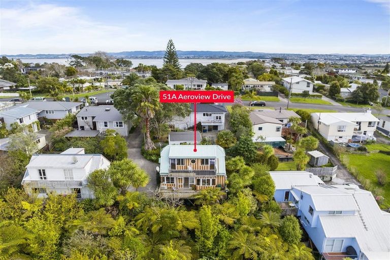 Photo of property in 1/51 Aeroview Drive, Beach Haven, Auckland, 0626