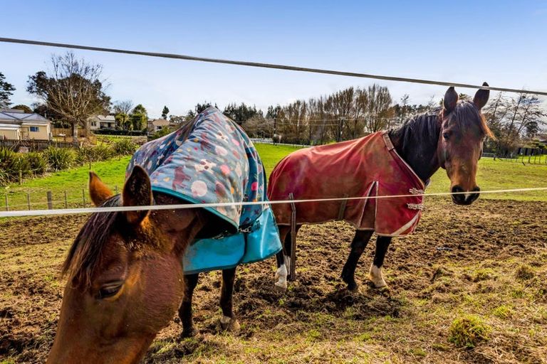 Photo of property in 29 Clifford Road, Eltham, 4322