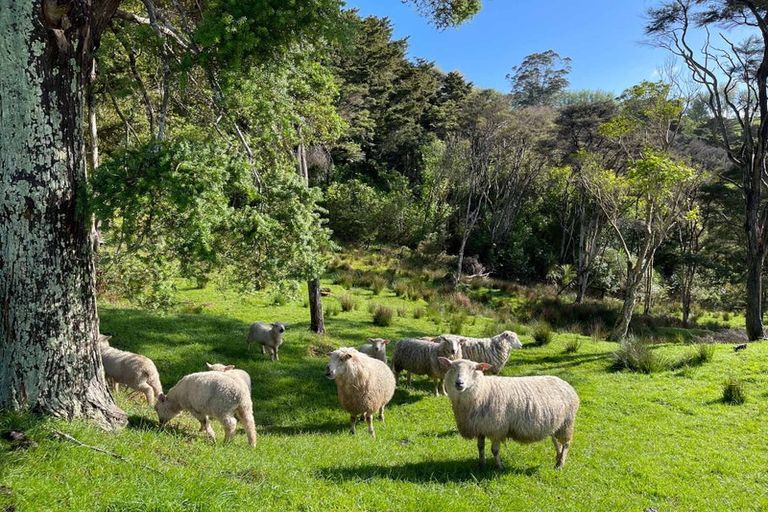 Photo of property in 330 Franklin Road, Paparoa, 0571