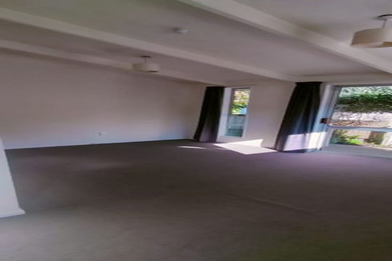 Photo of property in 23 Woodhaugh Street, Woodhaugh, Dunedin, 9010