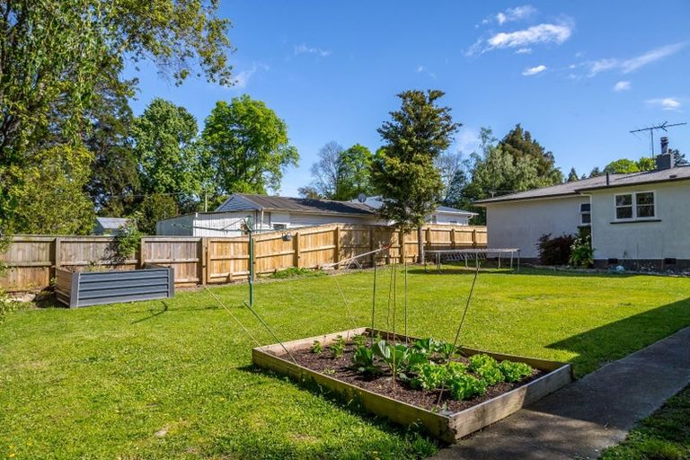 Photo of property in 37 Hillcrest Street, Solway, Masterton, 5810