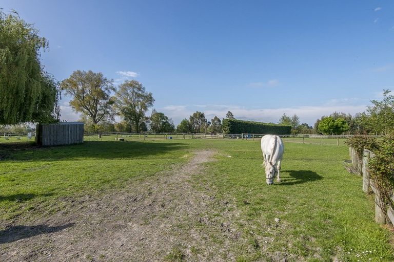 Photo of property in 100 Easterbrook Road, Fernside, Kaiapoi, 7691