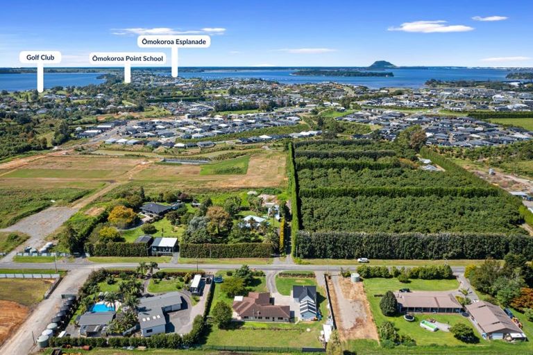 Photo of property in 75 Prole Road, Omokoroa, Tauranga, 3172