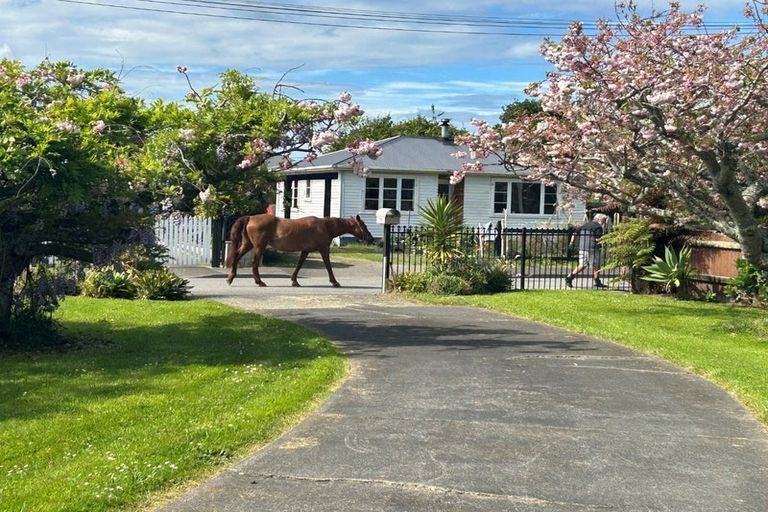 Photo of property in 25 Iti Street, Otaki, 5512