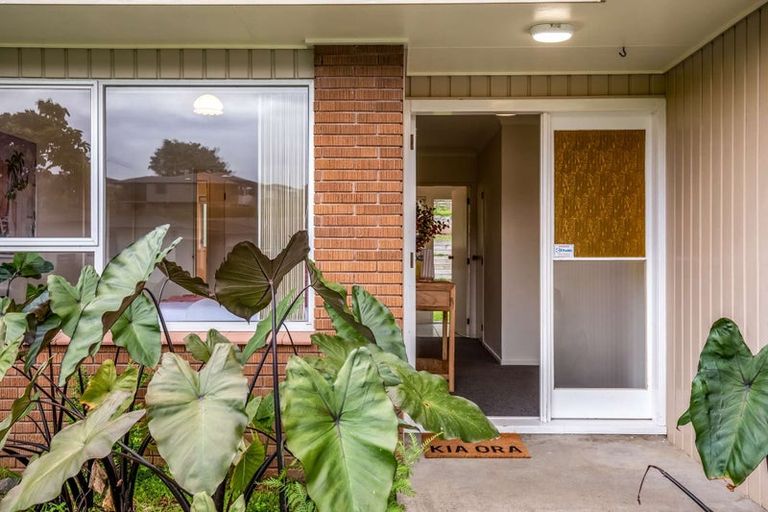 Photo of property in 19 Shelley Street, Otumoetai, Tauranga, 3110