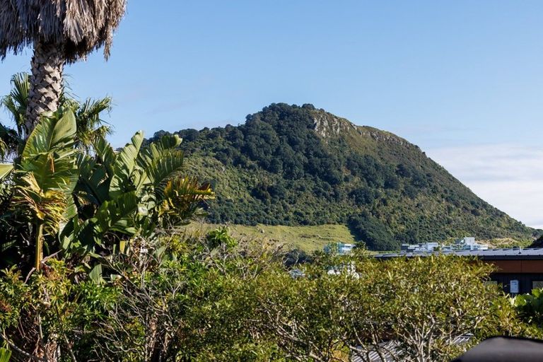 Photo of property in 41b May Street, Mount Maunganui, 3116