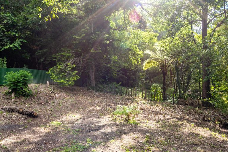 Photo of property in 77 Shelley Road, Whataupoko, Gisborne, 4010