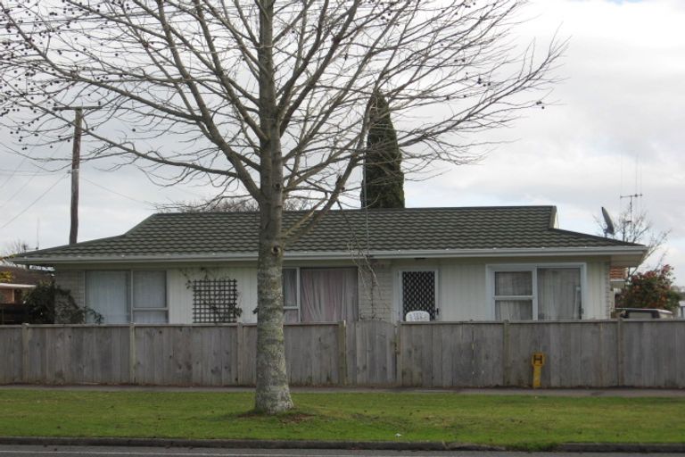 Photo of property in 167a Galloway Street, Hamilton East, Hamilton, 3216