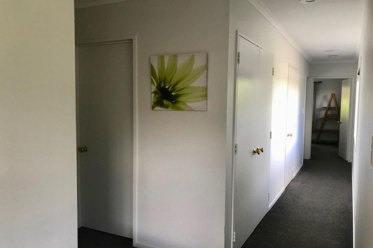 Photo of property in 12 Samuel Way, Judea, Tauranga, 3110