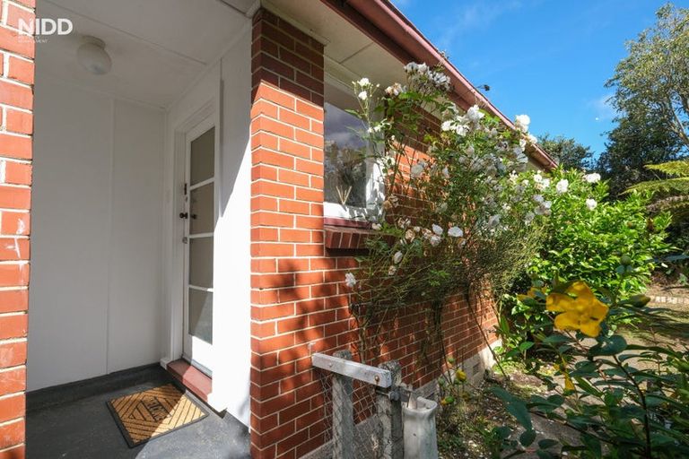 Photo of property in 54a Cockerell Street, Brockville, Dunedin, 9011