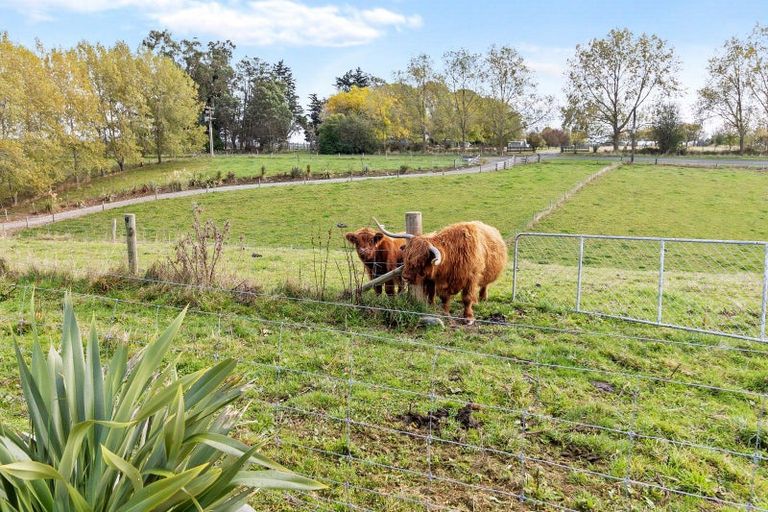 Photo of property in 599 Claremont Road, Claremont, Timaru, 7972