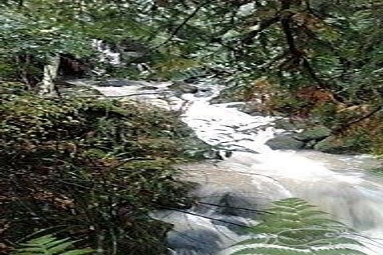 Photo of property in 34 Pendergrast Road, Mangatawhiri, 2471