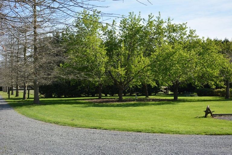 Photo of property in 316 Mill Road, Ohoka, Kaiapoi, 7692