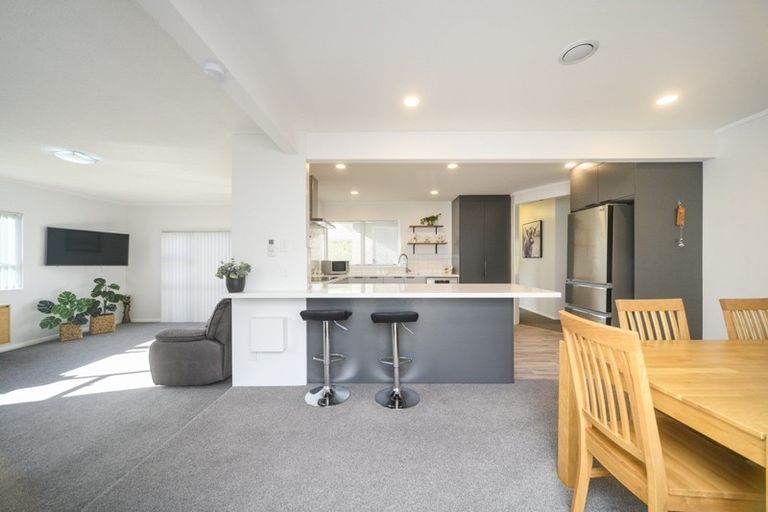 Photo of property in 481 Ruahine Street, Terrace End, Palmerston North, 4410