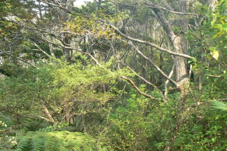 Photo of property in 191 Opara Road, Oue, Kaikohe, 0473