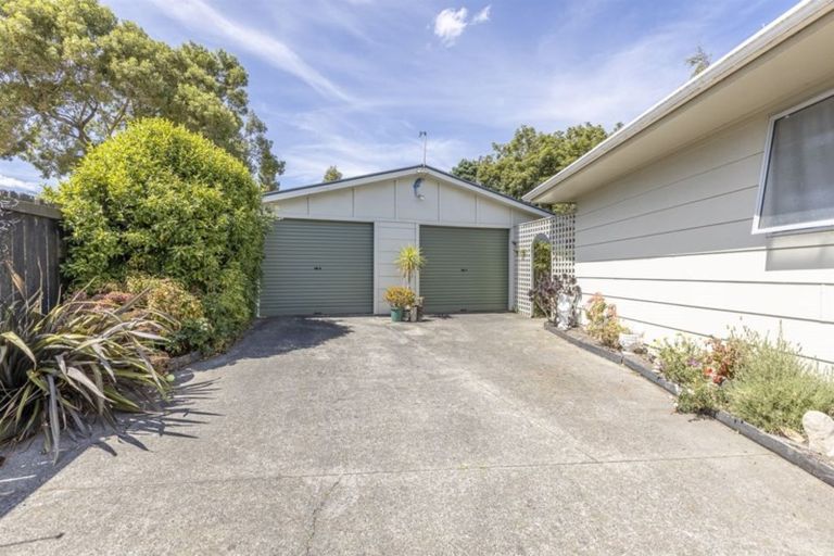 Photo of property in 6 Grant Place, Awapuni, Palmerston North, 4412