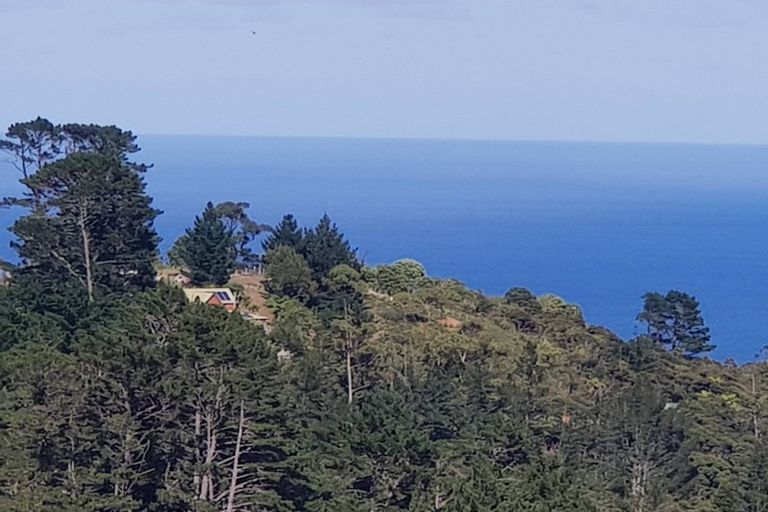 Photo of property in 164-166 Lone Kauri Road, Karekare, New Lynn, 0772