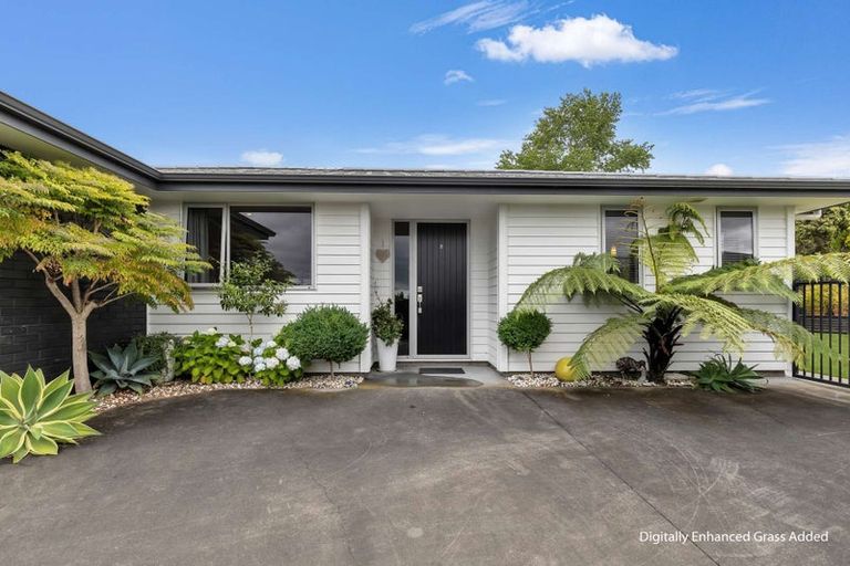 Photo of property in 20 Brougham Place, Springvale, Whanganui, 4501