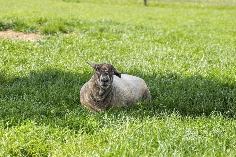 Photo of property in 324 Norfolk Road, Waingawa, 5791