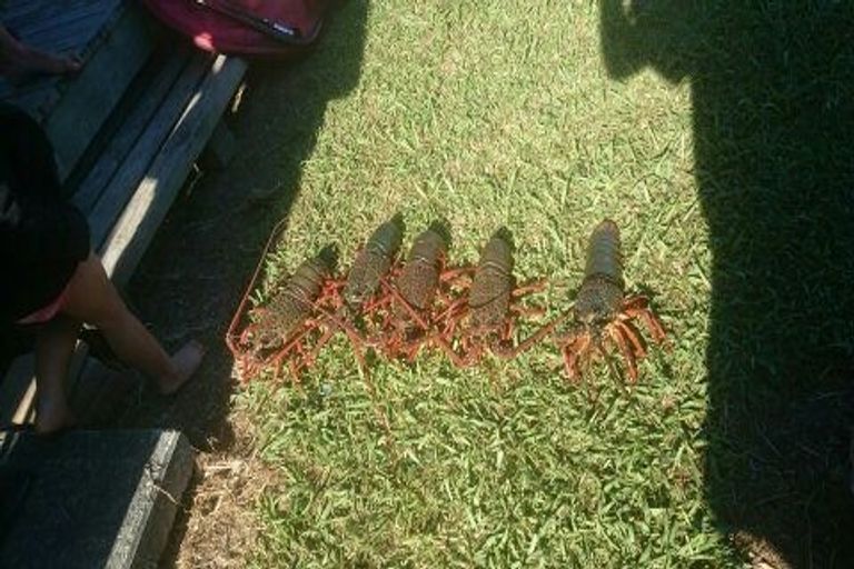 Photo of property in 20 Peninsula Parade, Hihi, Mangonui, 0494