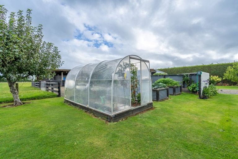 Photo of property in 204 Roslyn Road, Roslyn Bush, Invercargill, 9876