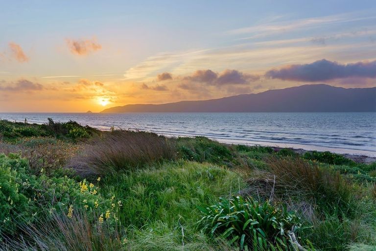 Photo of property in 31 Oratia Street, Waikanae Beach, Waikanae, 5036