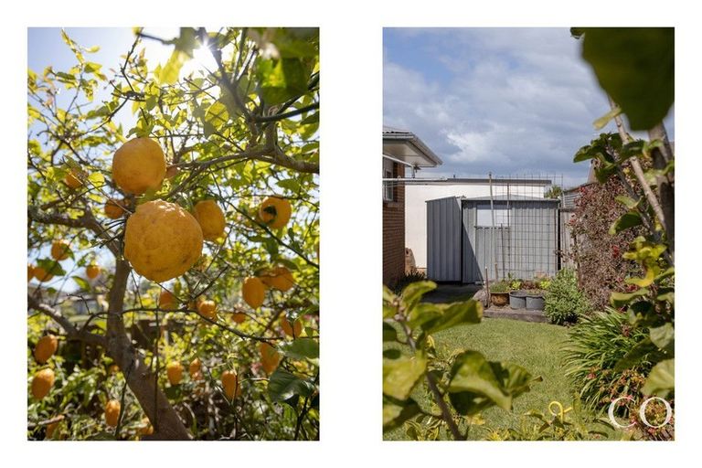 Photo of property in 12 Cedar Grove, Matua, Tauranga, 3110