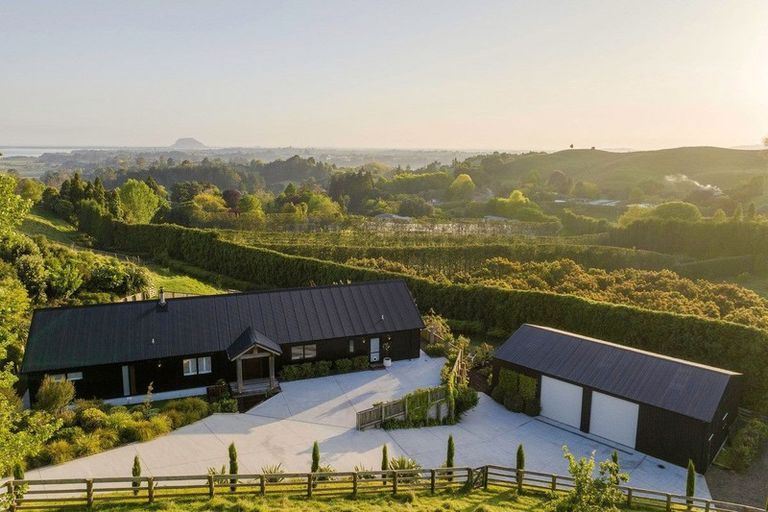 Photo of property in 177c Crawford Road, Minden, Tauranga, 3171