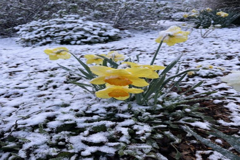 Photo of property in 40 Bedford Street, Arrowtown, 9302